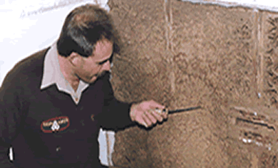 termites can build a sub-nest in a wall cavity of a home